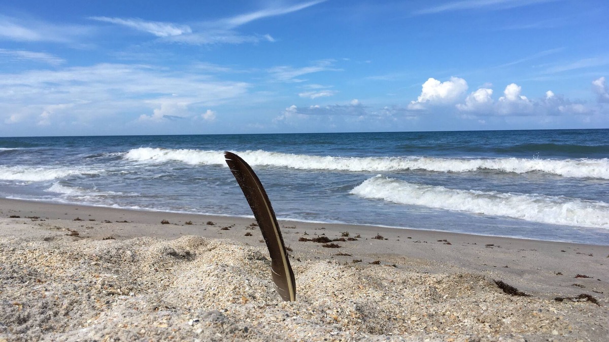 Vero Beach House | Rare experience at Old Florida mid-century seaside estate