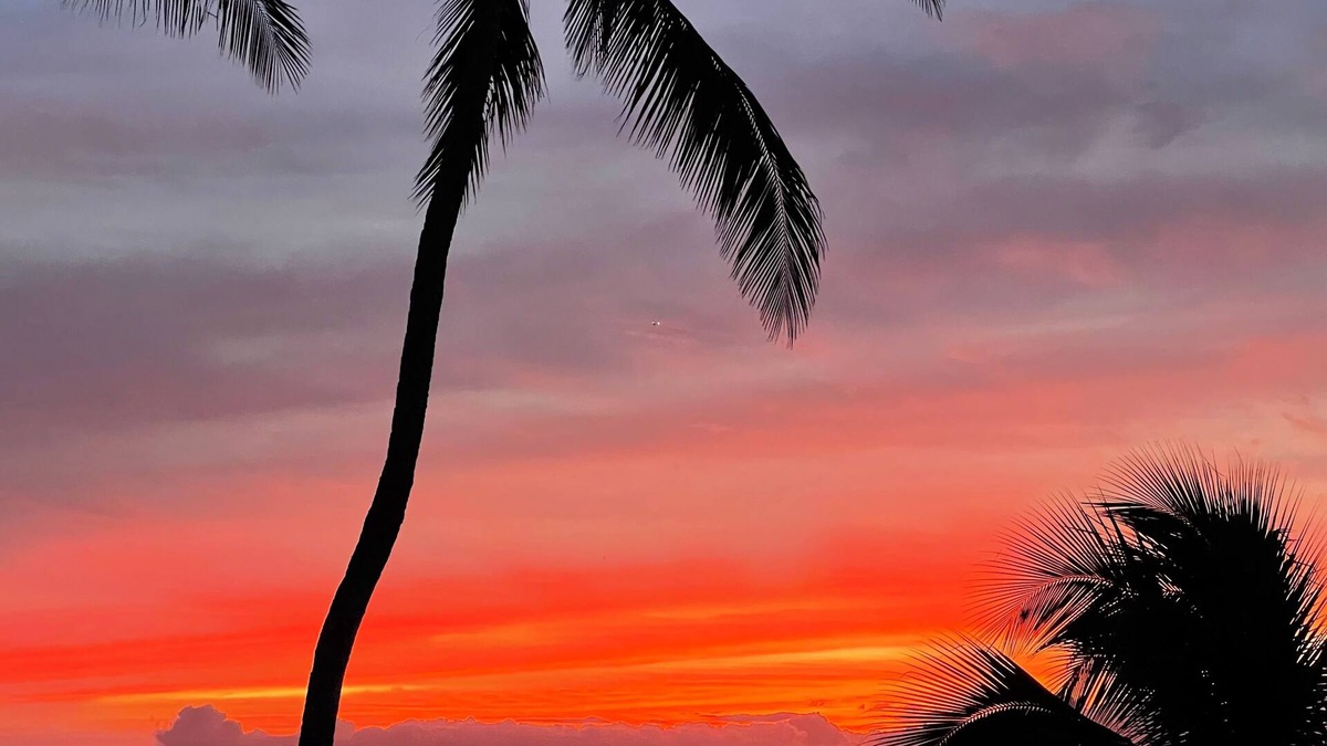 Portlock House | RARE find! Stunning Views! 3-BR house with pool, WiFi, AC in quiet Honolulu area