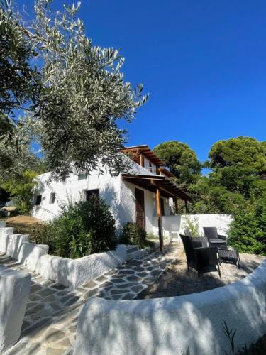 Troulos House | Rastoni Apartments Skiathos