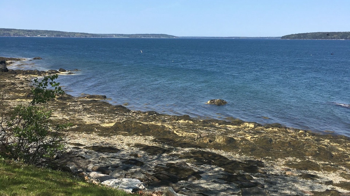 Blue Hill Cottage | Raven's Nest Cottage on Blue Hill Bay