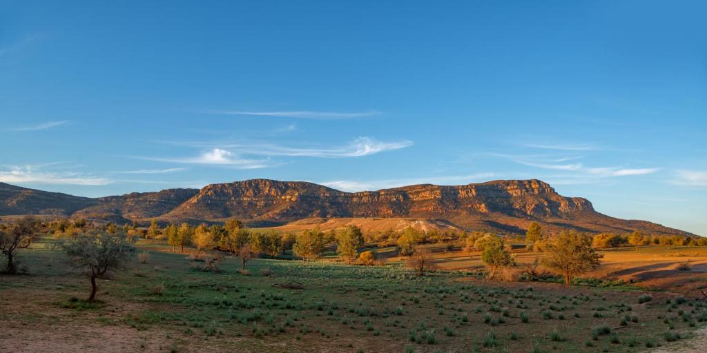 Moralana Resort | Rawnsley Park Station