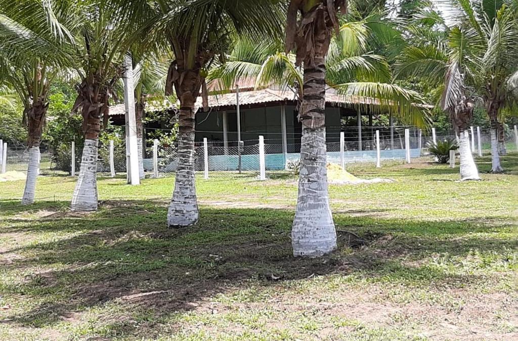 Carolina House | RECANTO DO SABIÁ