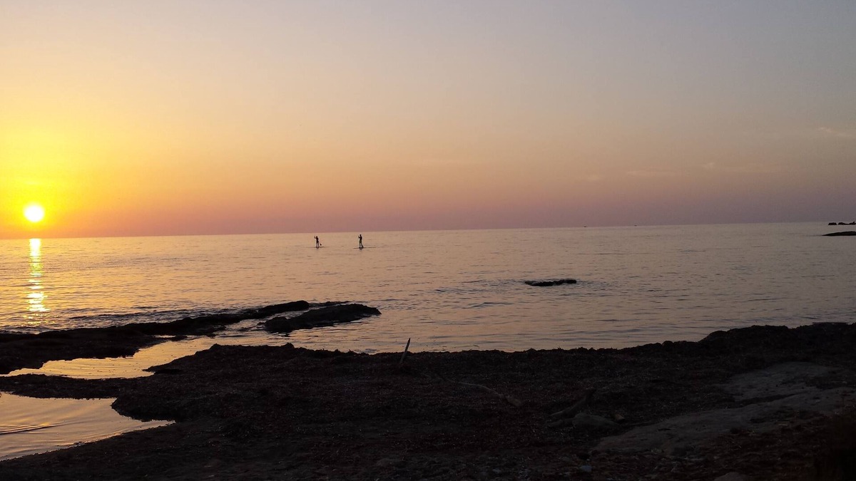 Patrimonio Apartment | recent studio with garden 5 minutes from beaches