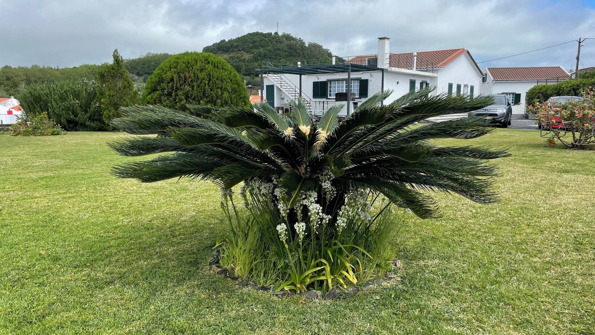Faja de Baixo House | Recent villa, located in a quiet residential area, 2km from the center
