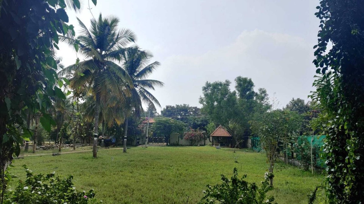Madduru House | Reconnect with nature- escape to chakra farms amidst coconut grooven