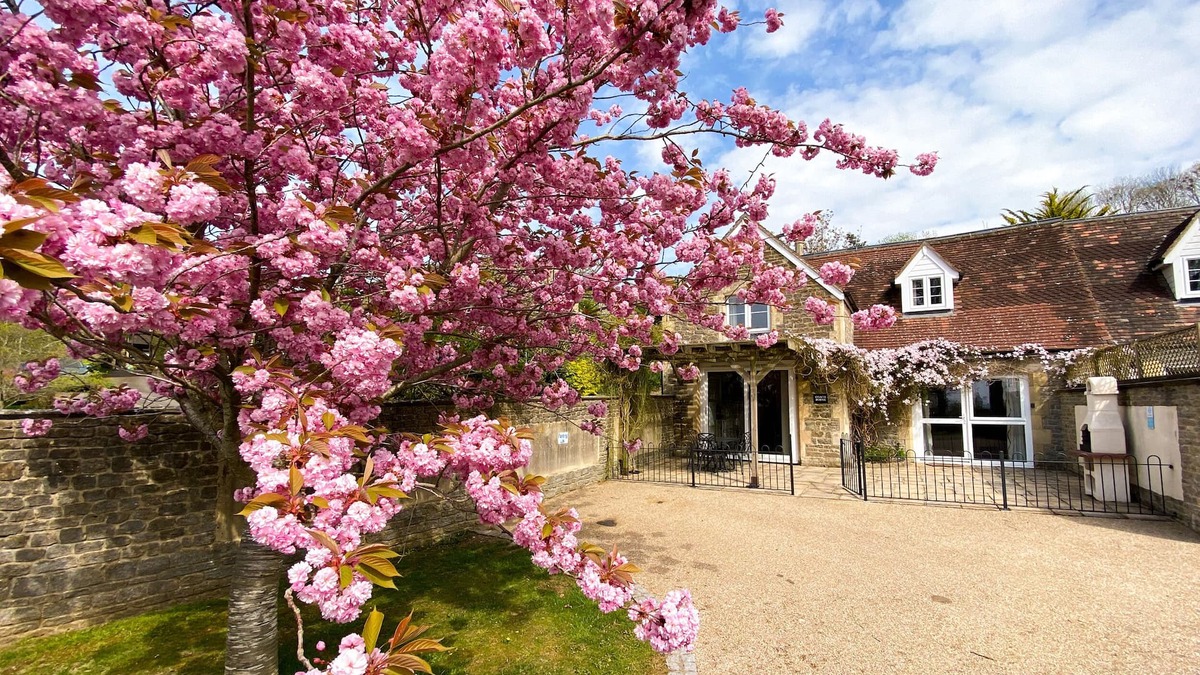 Buckhorn Weston Cottage | RECTORY COACH HOUSE, romantic, with a garden in Buckhorn Weston