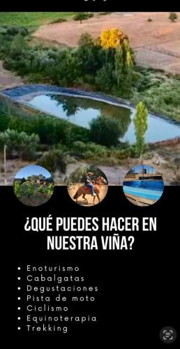 San Nicolas Other | Red Blood Vineyard