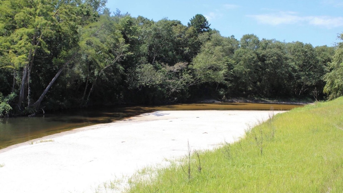 Perkinston House | Red Creek Getaway 2 houses on 500 acres, with hot tub and access to 5 sandbars!