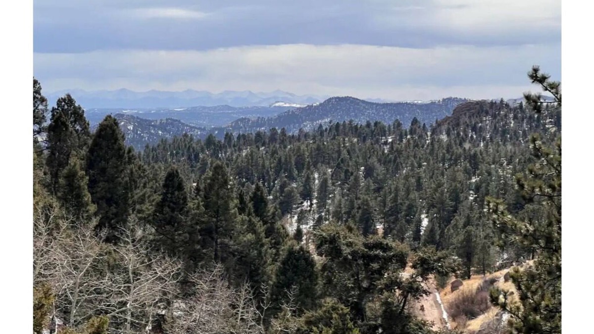 Colorado Springs Cabin | Red Door Cabin