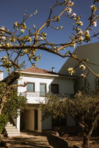 Seia House | Red Fox Lodge Serra da Estrela