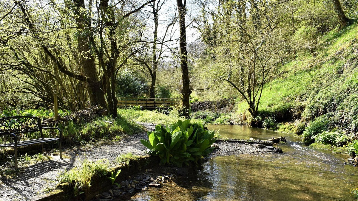 Whitland Cottage | Red Kite