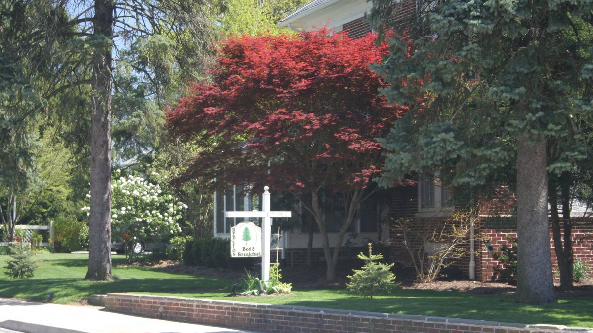 Red Lion Bed & Breakfast | Red Lion Bed & Breakfast