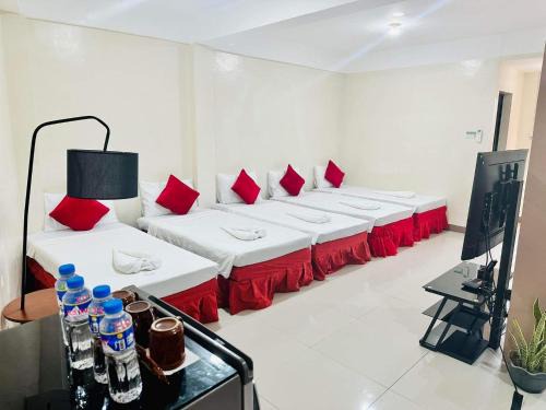 Baybay City Apartment | Red Palm Inn family room with Netflix