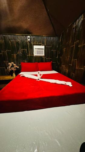 Baybay City Other | Red Palm Inn - Kubo room with wifi