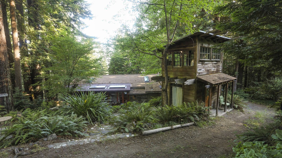 Mendocino Cabin | Redwood Forest Getaway