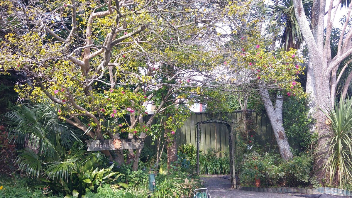 Levin Hotel | Redwood Lodge Motel