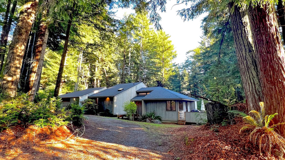 Crescent City House | Redwood retreat with large deck, grill, AC, & art collection - dog-friendly