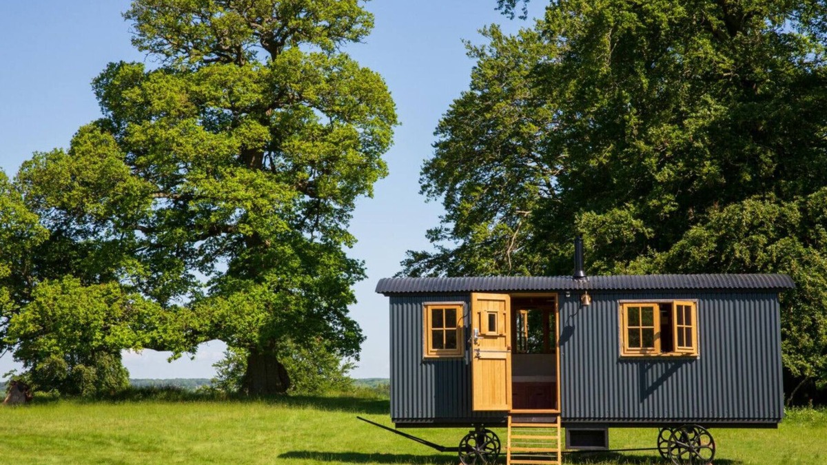 Stonor Cabin | Redwood - Shepherds hut