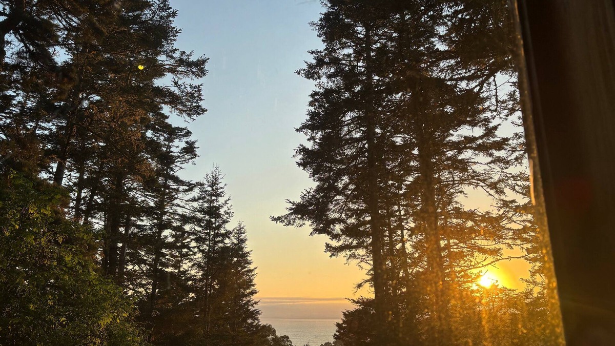 Elk Cabin | Redwoods Oceanview Retreat