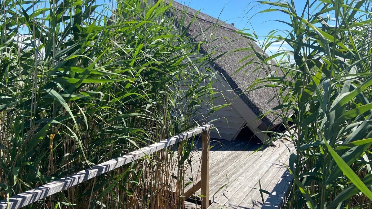 Rust Cabin | Reed hut/pile dwelling on Lake Neusiedl
