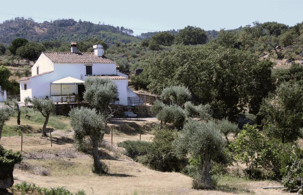 Marvao House | Refugio da Maceira