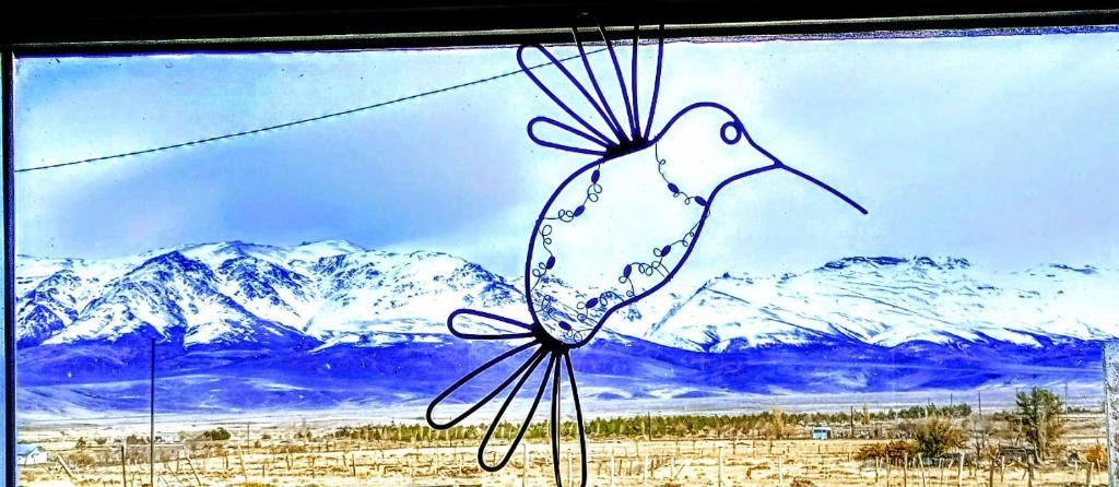 Tricao Malal House | Refugio de la patagonia