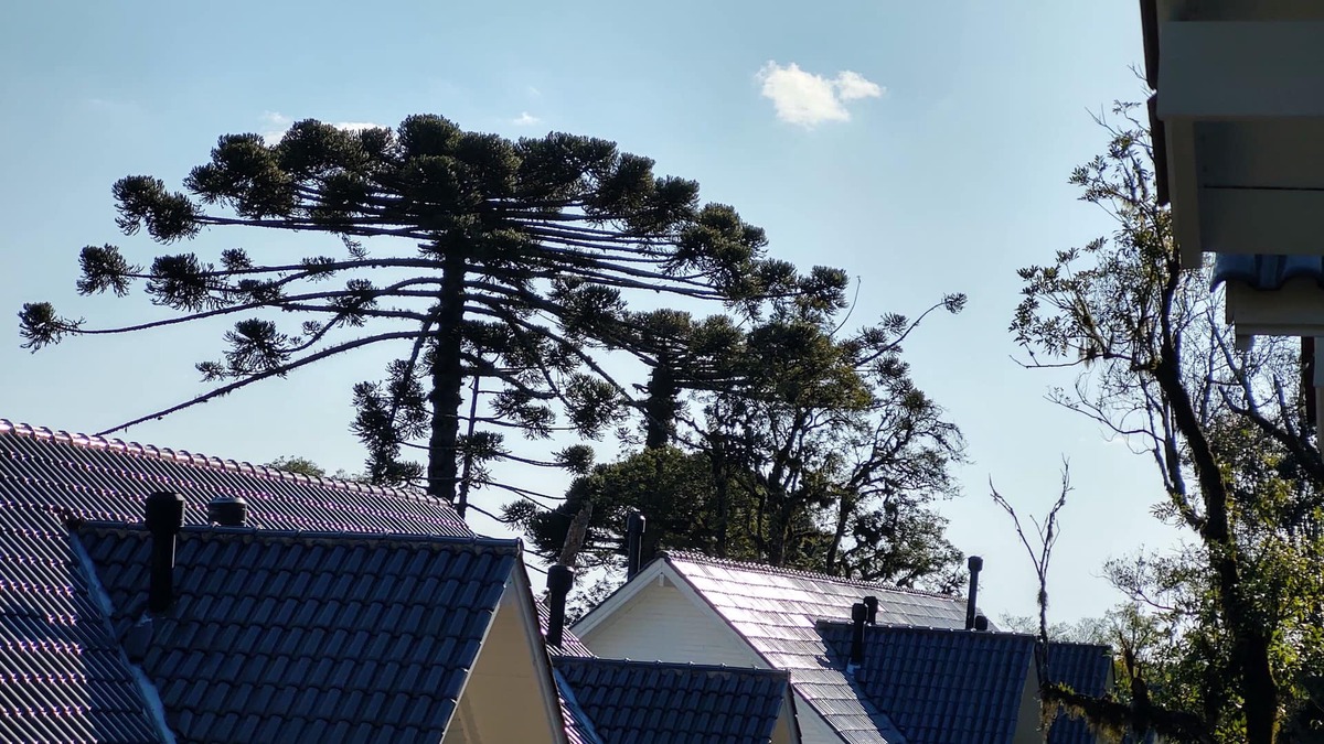 Mato Queimado House | Refúgio Gramado with air conditioning, fireplace and wi-fi