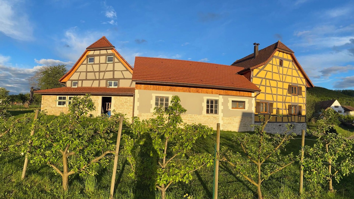 Liebsdorf Apartment | Refurbished farmhouse, Swiss border. Ideal for relaxing and hiking!