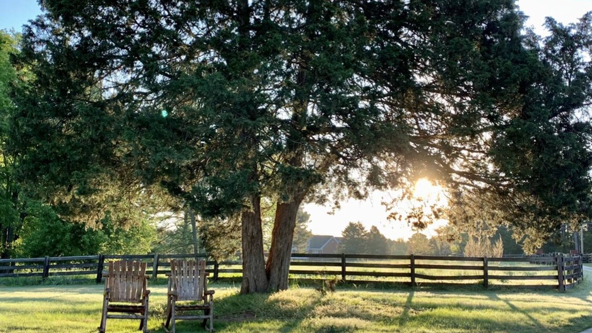 Oxford Apartment | Regal Ranch Retreat *DOG & HORSE FRIENDLY*