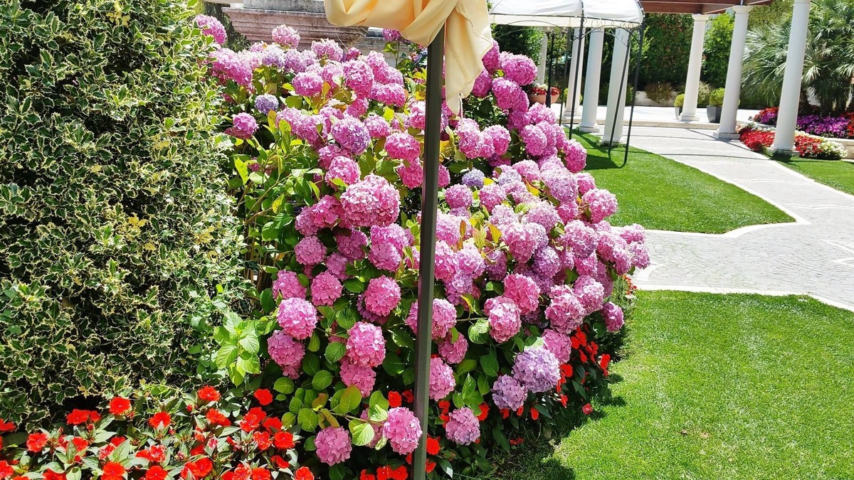Carpignano Hotel | Regina di Saba Hotel - Villa Ricevimenti