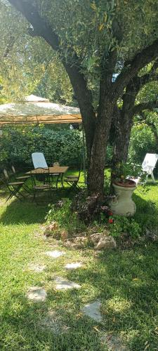 Policastro Bussentino Apartment | Reginella al mare