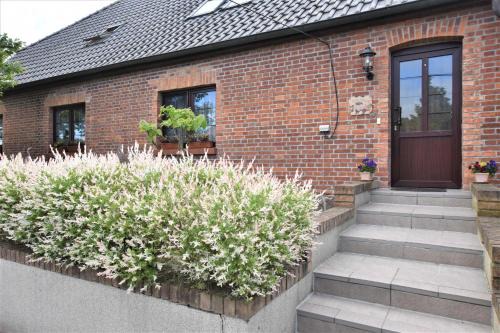 Satow Apartment | Reihenferienhaus mit Kamin und Terrasse im Ostseeland OFC 11