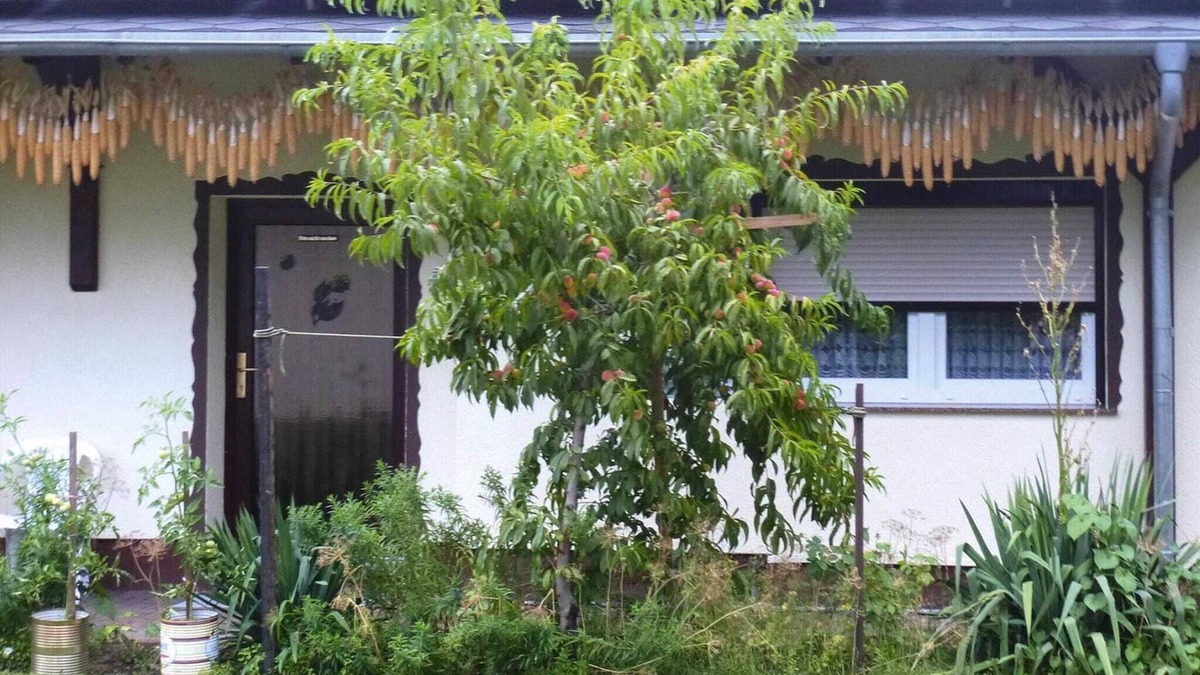 Lubben House | Reihenhaus in Lübben an der Spree