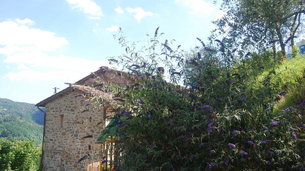 Pescia Apartment | Relax al Poggio