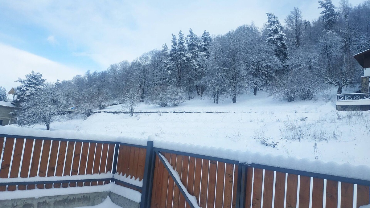 Bakuriani Villa | RELAX AND ENJOY AT VILLA BAYERN IN BAKURIANI