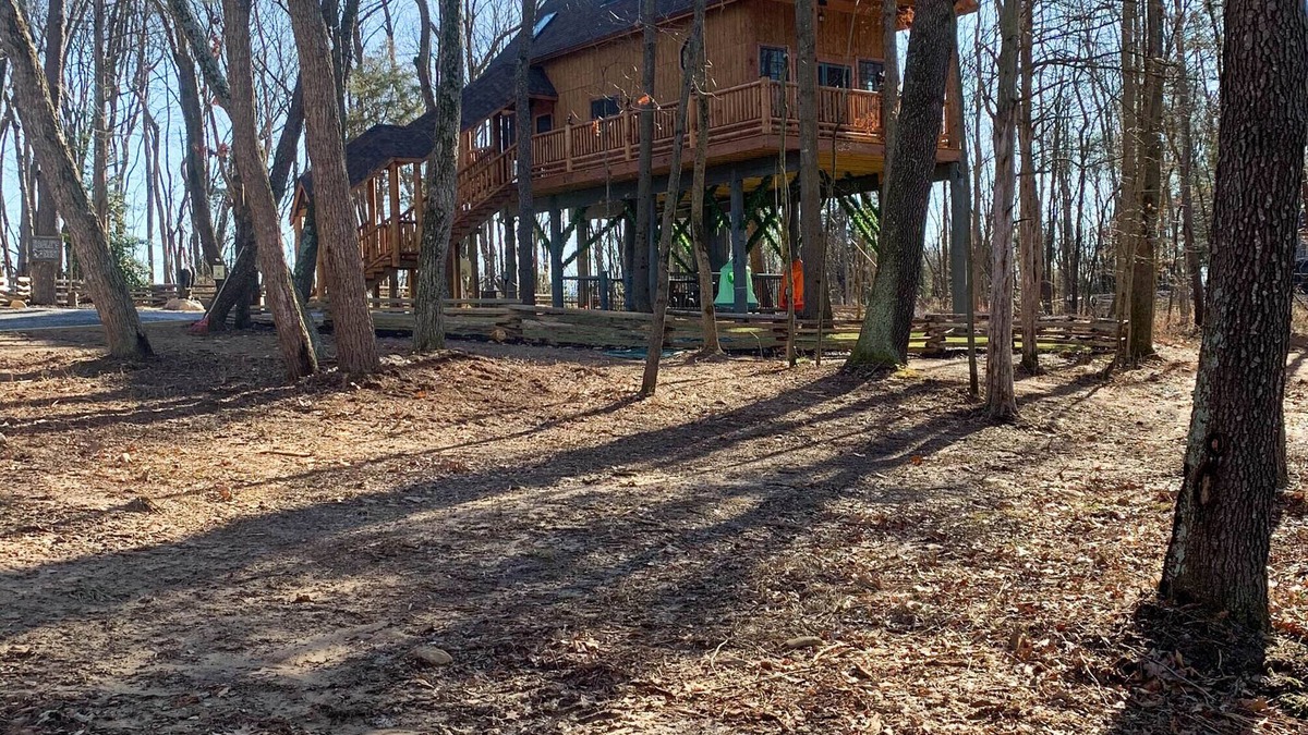 Shenandoah Cabin | Relax and get away in the tree tops in our Eagle's Nest Tree House