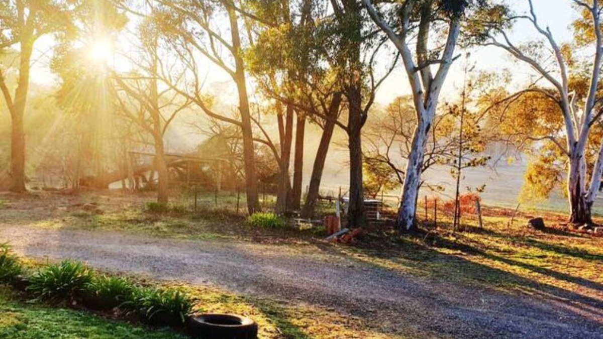 Greenwich Park Other | Relax and Unwind