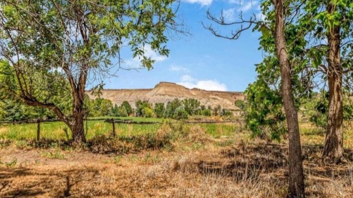 Palisade Cottage | Relax at The Roost: Charming 1930s Country Cottage