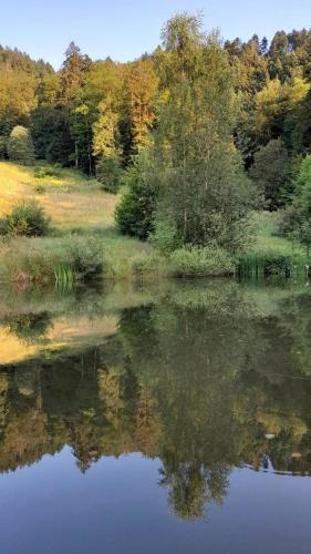 Basse-sur-le-Rupt Ski Chalet | RELAX CHALET Nature Retreat - isolé sur 3 hectares - confort de LUXE - maison entière 150m2 - près de La Bresse