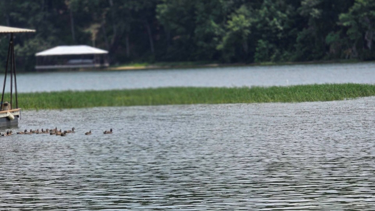 Abbeville House | Relax, Fish, Repeat- Your Lakefront Vacation Starts Here