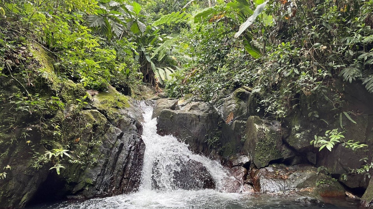 Zarzal House | Relax home in el yunque national rainforest estate 5 minutes