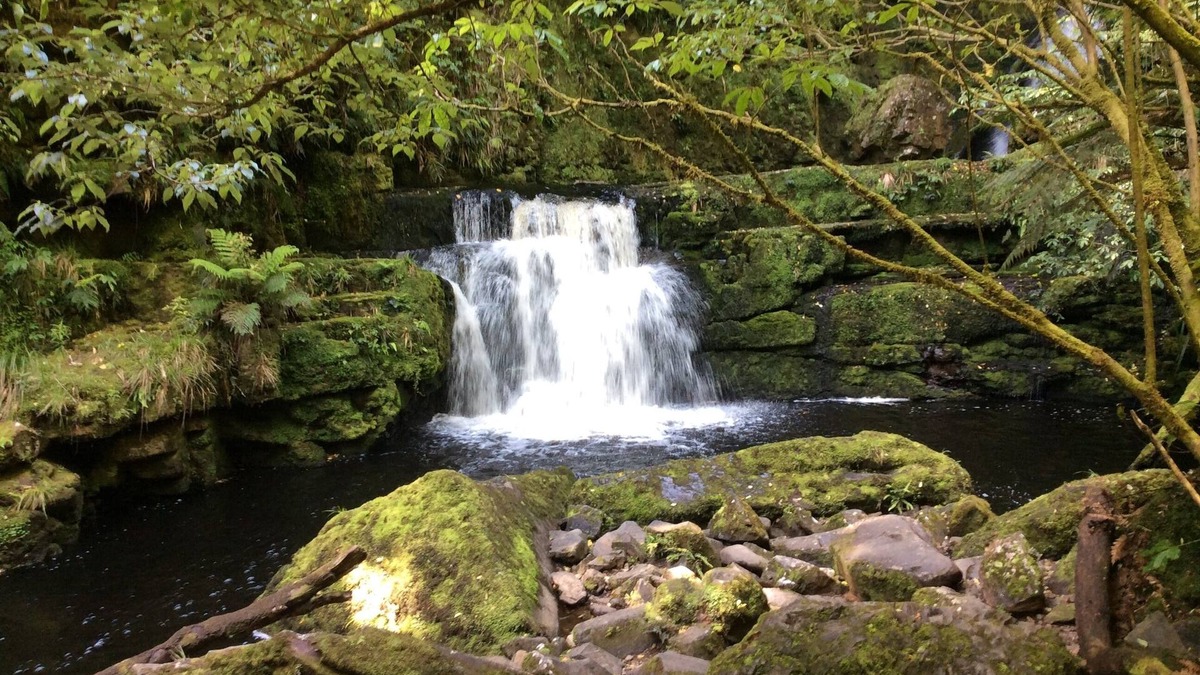Owaka Bed & Breakfast | Relax in style at the Catlins Retreat, historic villa in the heart of Owaka