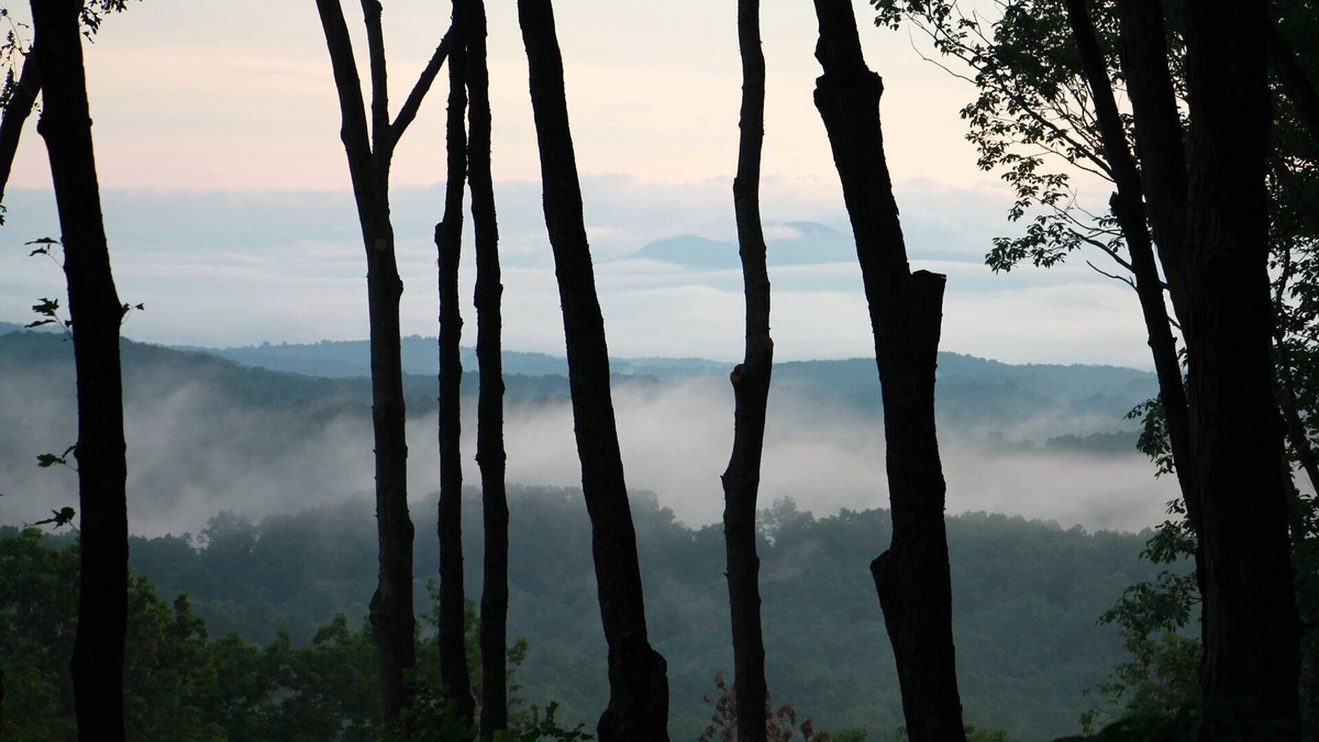 Blue Ridge Cabin | Relax in the Blue Ridge TreeTops - Paved Road to Cabin!