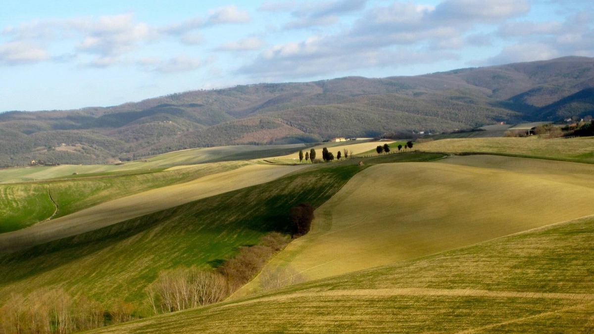 Orciano Pisano House | Relax In The Wonderful Tuscan Countryside One Step From The Sea .