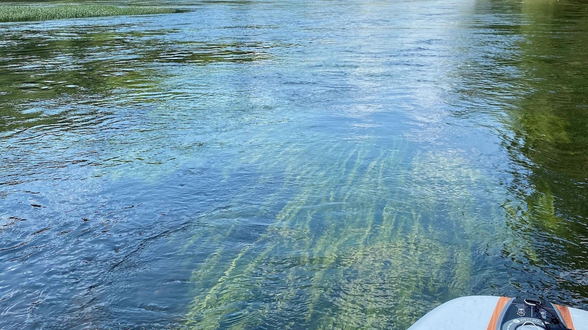 Newell Cabin | Relax on the River