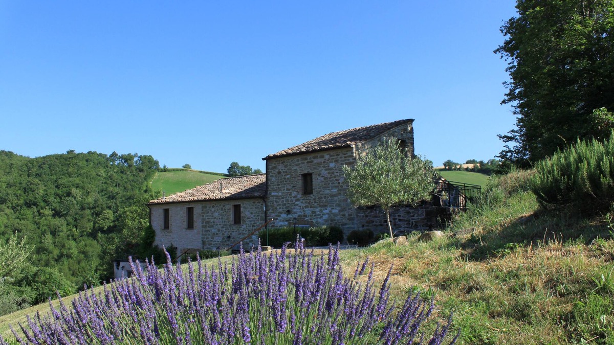Monterosso Apartment | Relaxation, enjoying nature, walking in Le Marche Italy at Cottage ‘Il Fuoco’
