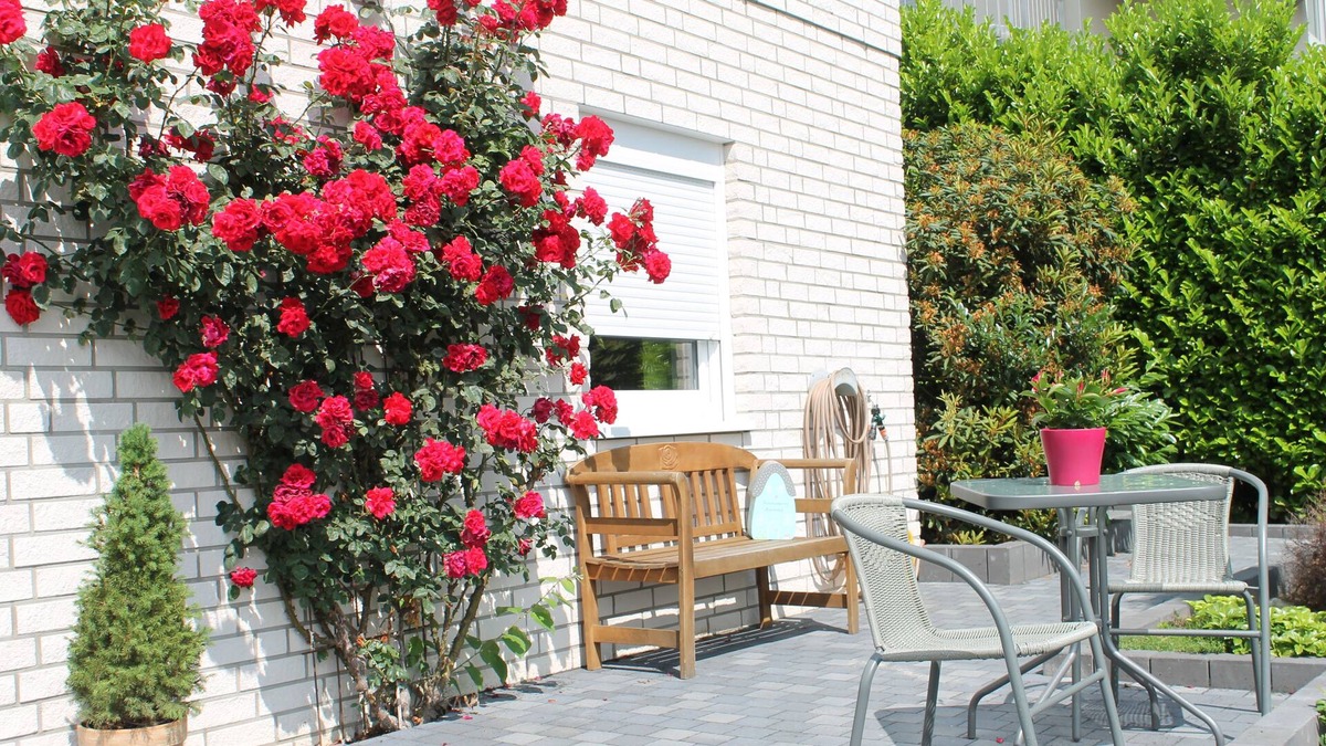 Roesrath Apartment | Relaxation near Cologne in the middle of nature
