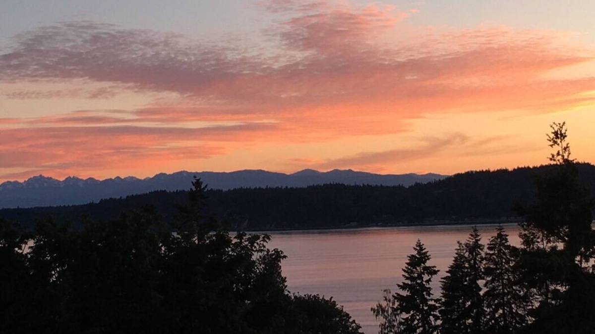 Mukilteo House | Relaxed and Enjoyable Water/Mountain View Home
