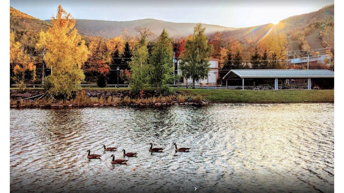 Hunter Condo | Relaxed & Cozy Hunter Retreat - Walk to Hunter Mtn