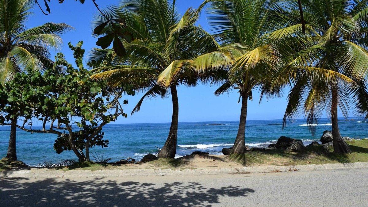 Hatillo House | Relaxed Oceanfront home on quiet palm fringed Beach with large Oceanfront patio